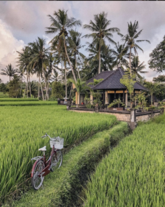 Spend 6 days and 5 nights in our breathtaking and authentic Balinese villa overlooking rice fields, staying and sleeping in the very same place that Julia Roberts did in the movie adaptation of Eat Pray Love.